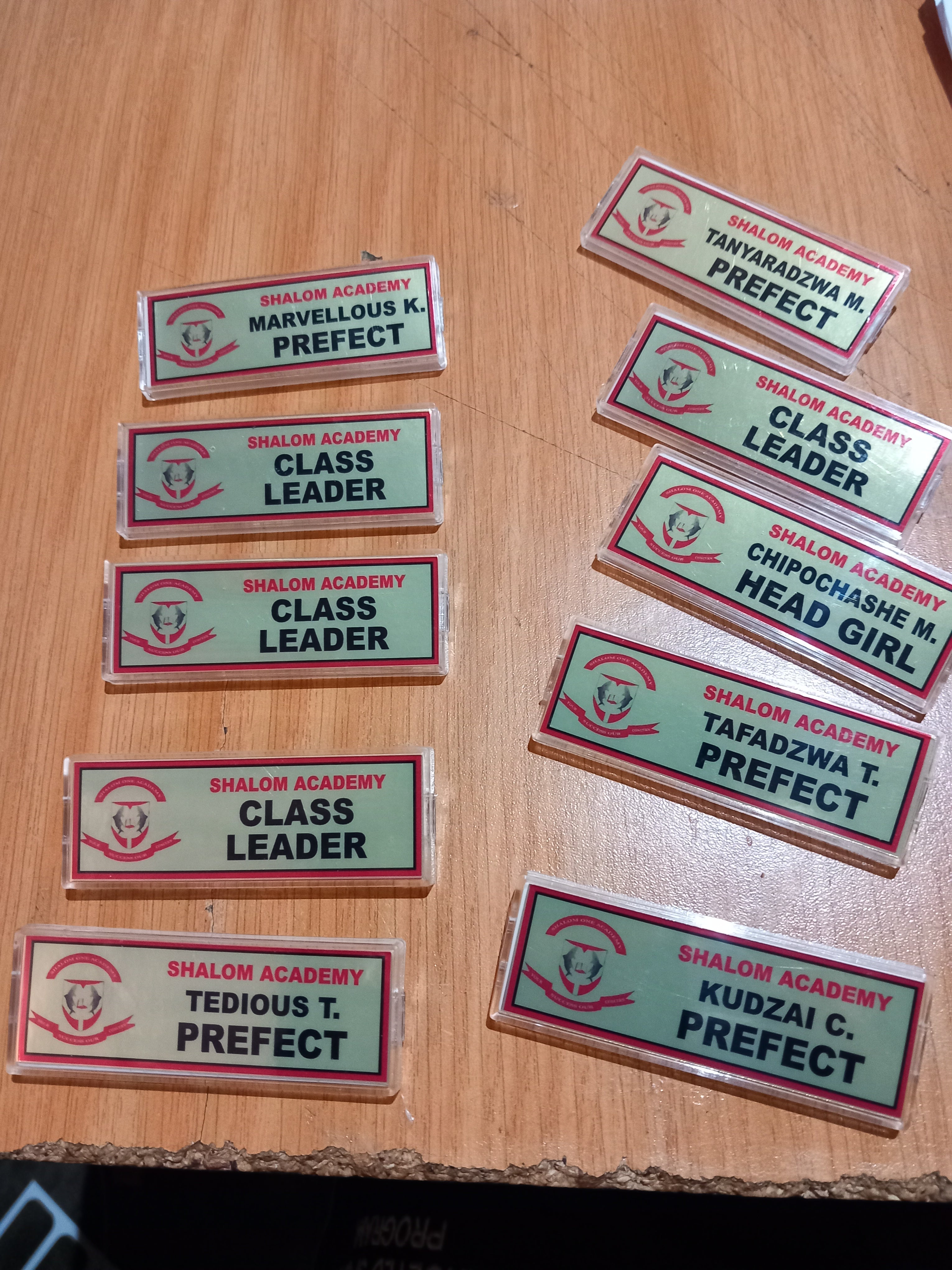 Changeable Badge in Badge Holder - Reusable Clear Lucite Name Badge