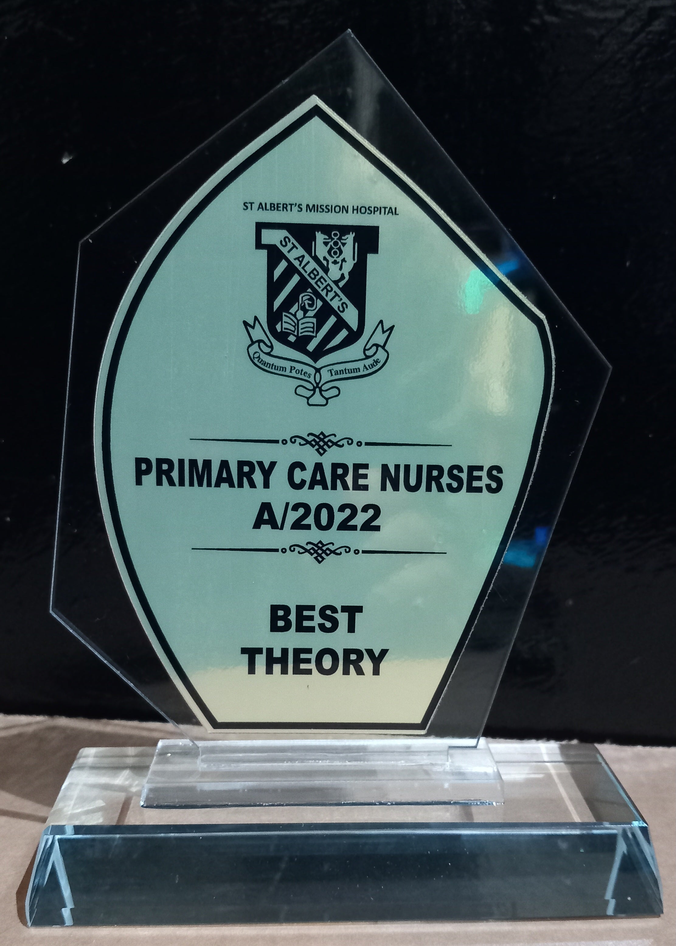 Accolade Award Series - Premium Crystal Glass Award with Metallic Finish