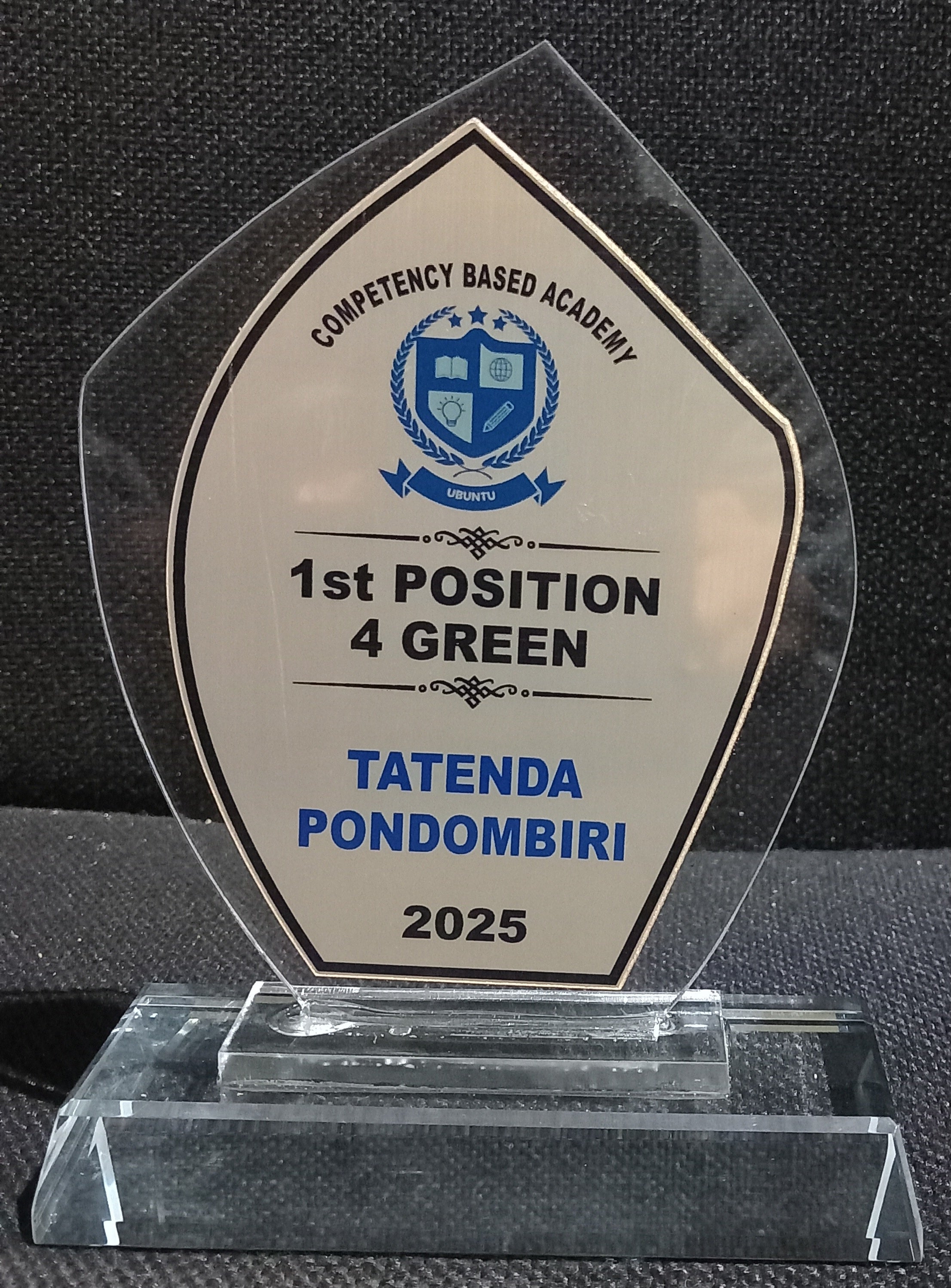 Accolade Award Series - Premium Crystal Glass Award with Metallic Finish