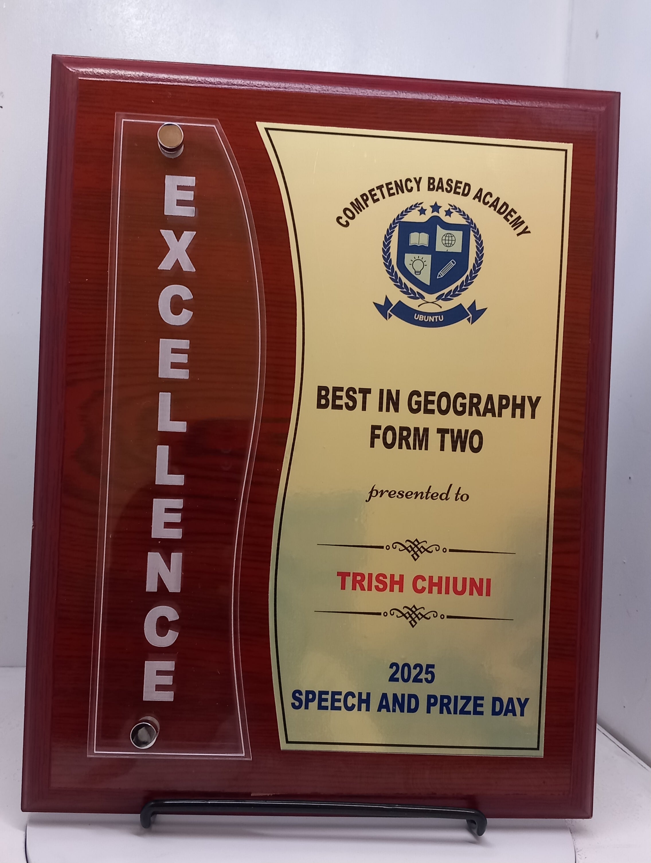 Recognition Series Shield with Easel Stand - Corporate Recognition Award