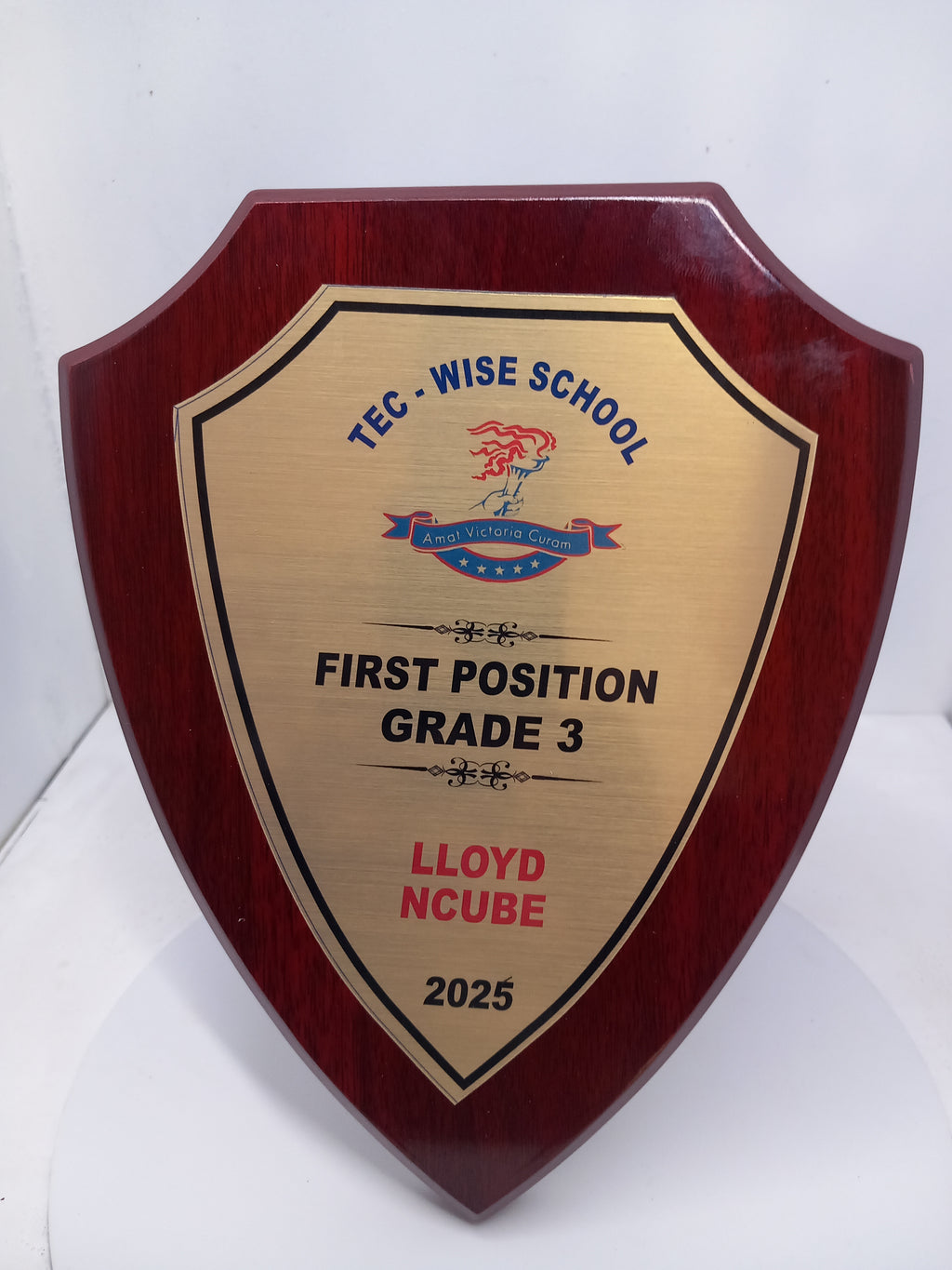 Pointed Shield Wood Plaque - Classic Award with Metallic Finish
