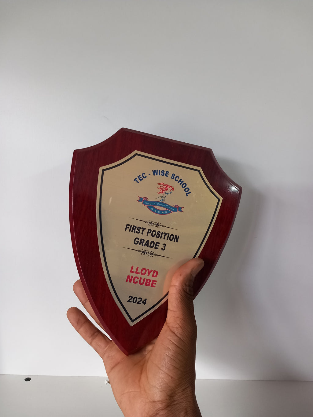 Pointed Shield Wood Plaque - Classic Award with Metallic Finish