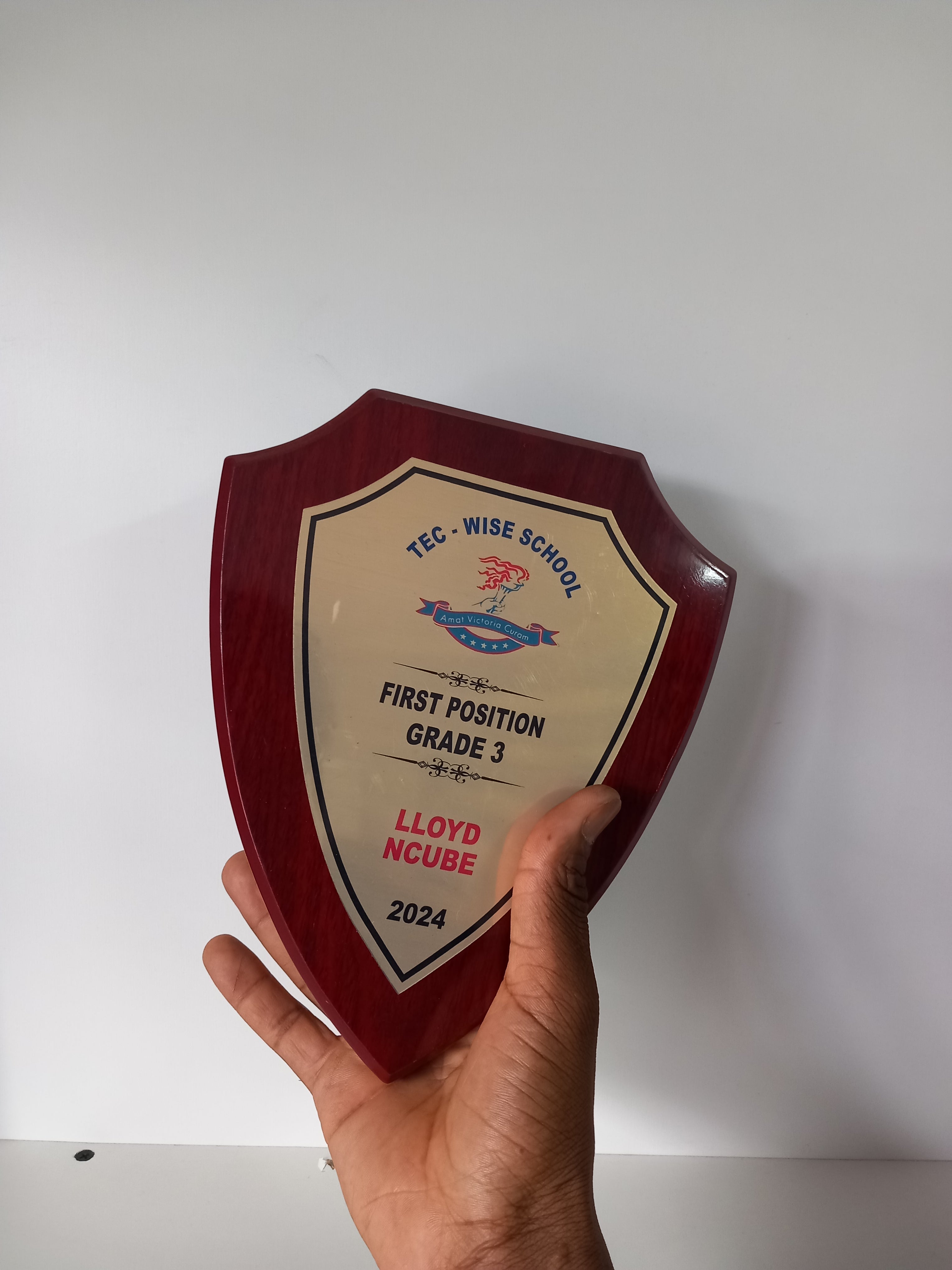 Pointed Shield Wood Plaque - Classic Award with Metallic Finish