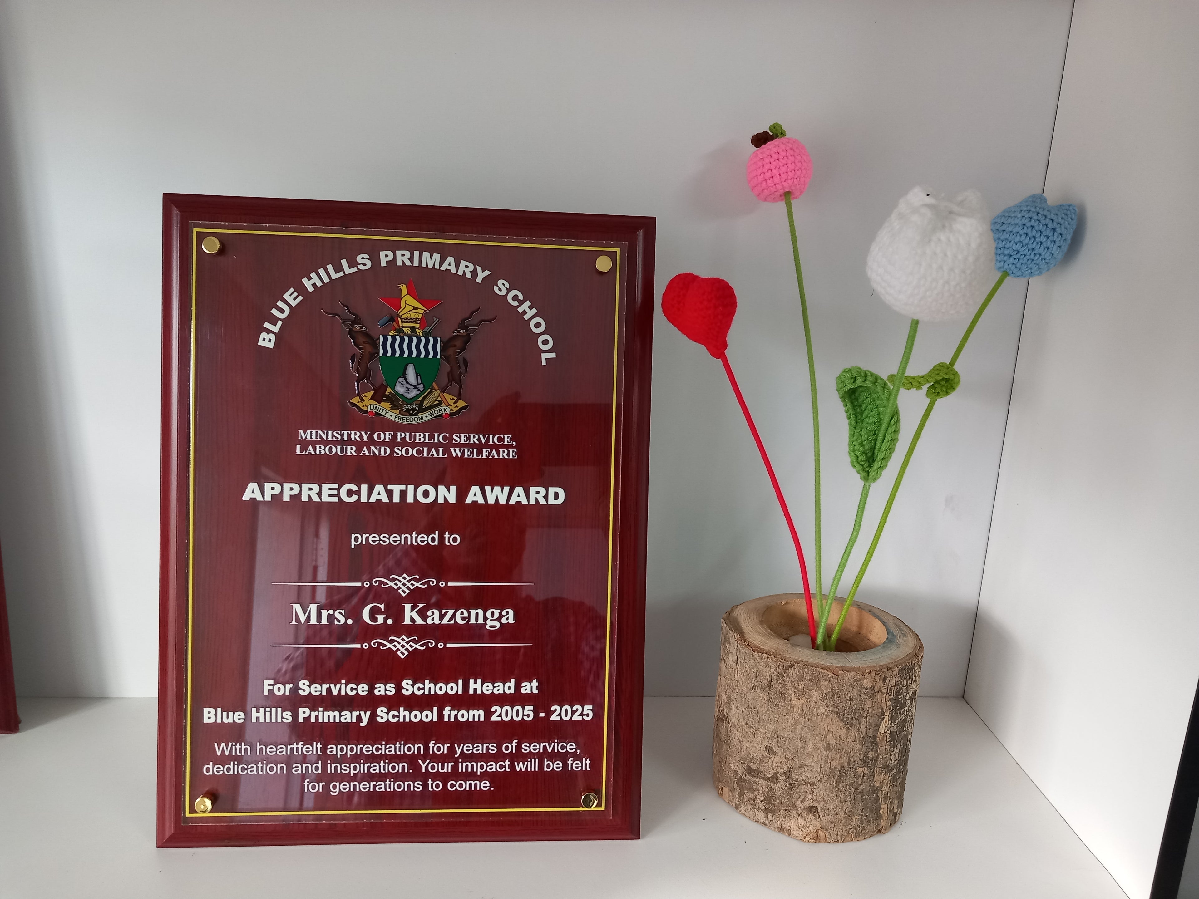 Elevated Direct UV Print Acrylic Glass Shield Plaque - Premium Award
