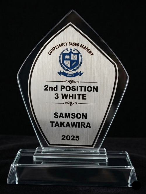 Accolade Award Series - Premium Crystal Glass Award with Metallic Finish