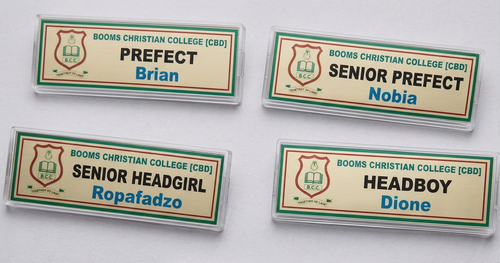 Changeable Badge in Badge Holder - Reusable Clear Lucite Name Badge
