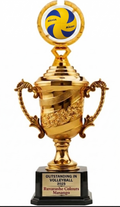 Individual Sport Award Trophy – Spinning Ball School Sports Award
