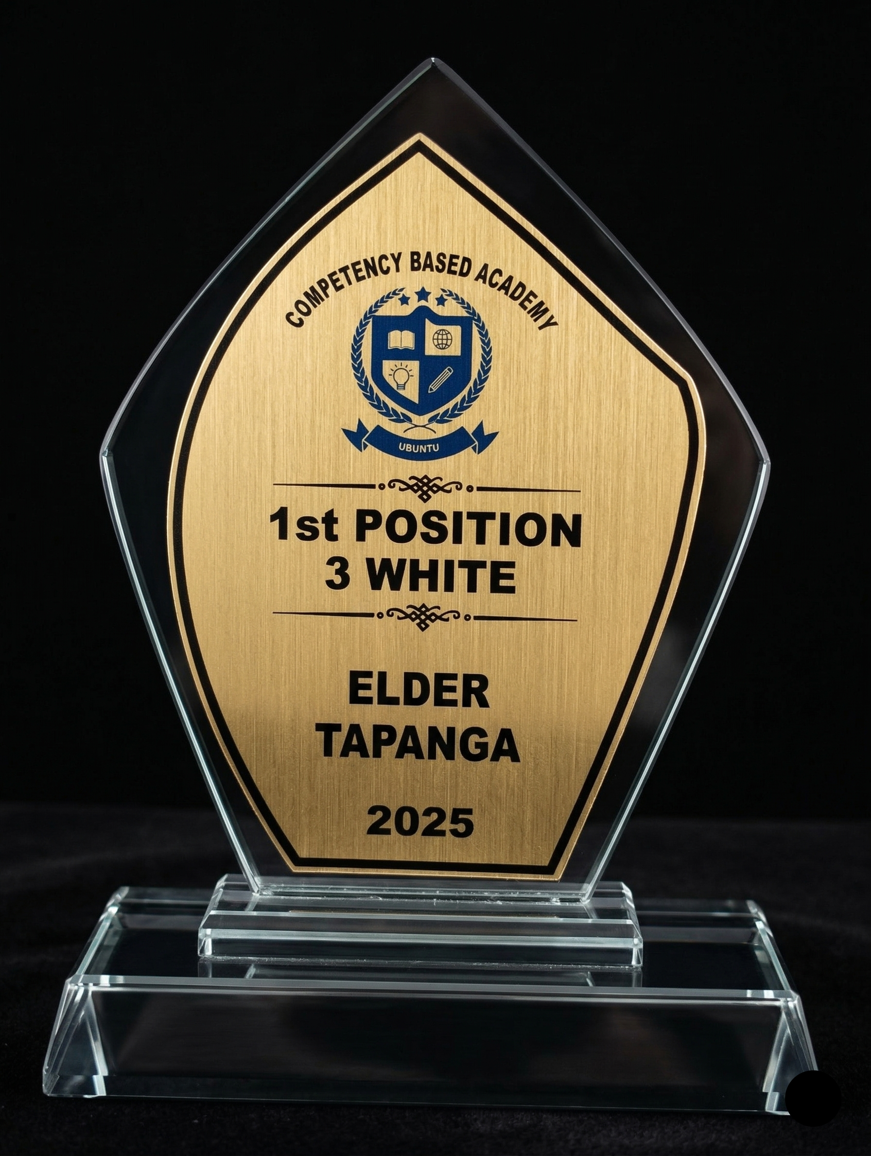 Accolade Award Series - Premium Crystal Glass Award with Metallic Finish