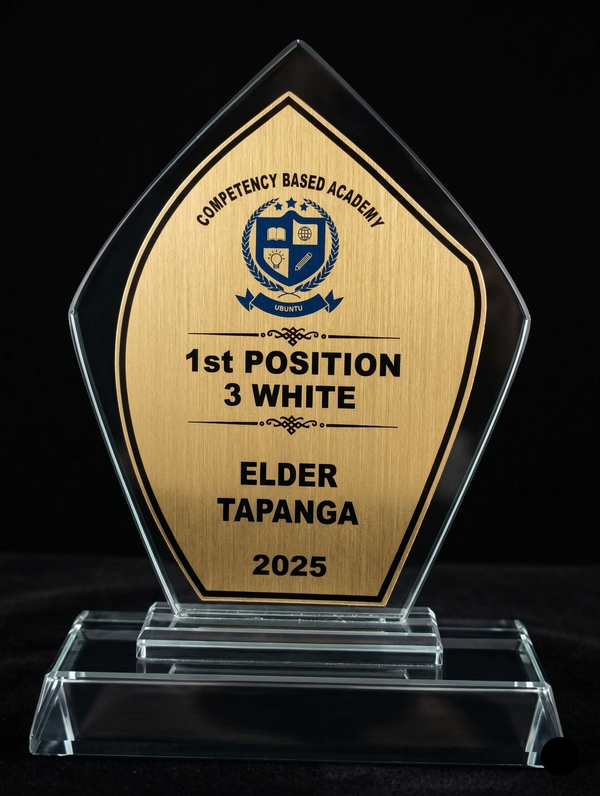 Accolade Award Series - Premium Crystal Glass Award with Metallic Finish