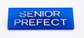 Deep Groove Engraved Badge with Ink Paint Infill - Permanent Acrylic Name Badge