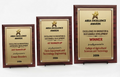 Floating Mirror Acrylic Award Plaque - Small, Medium and Large sizes