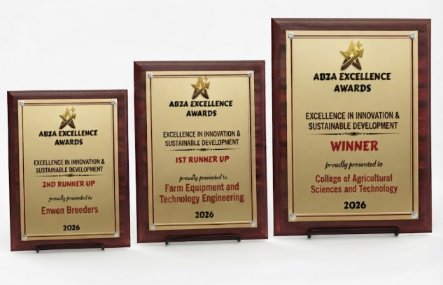 Floating Mirror Acrylic Award Plaque - Small, Medium and Large sizes
